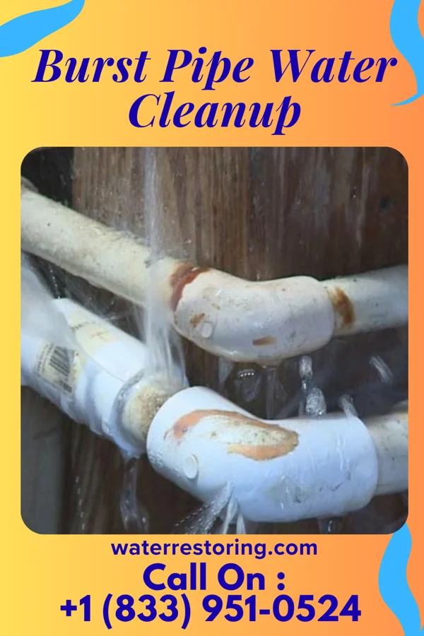 Burst Pipe Water Cleanup in Sherman, MS